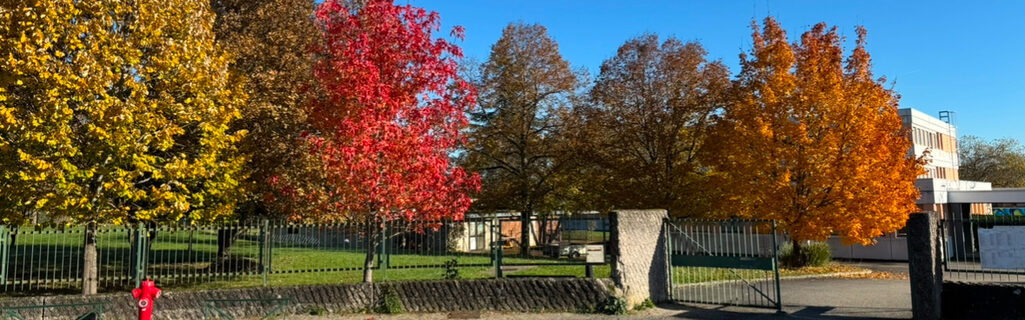 saint ex automne.jpg